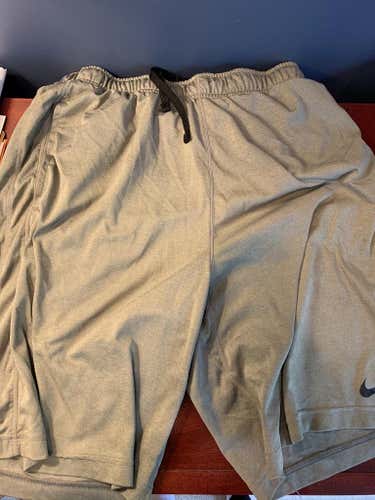 New Adult Large Nike Shorts