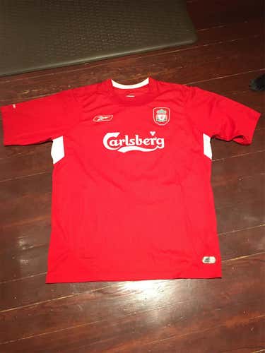 Liverpool Large Jersey