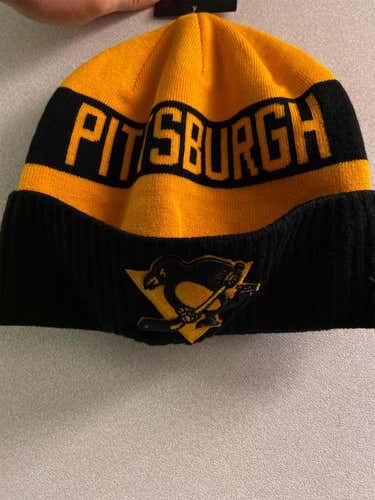 Pittsburg Penguins winter hat