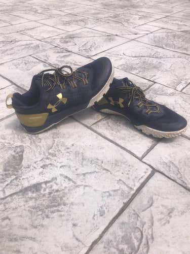 *TEAM ISSUED* Notre Dame Lacrosse Training Shoes Worn By Ryder Garnsey