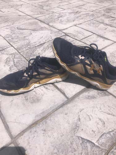 *TEAM ISSUED* Notre Dame Lacrosse Training Shoes