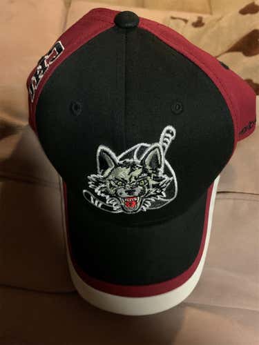 AHL Chicago Wolves Hat