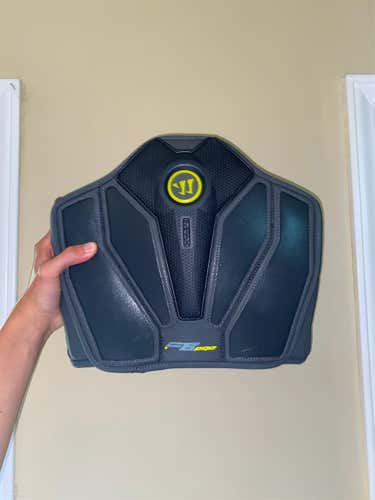 BRAND NEW Size Large Warrior Fat boy Pro Kidney Pads