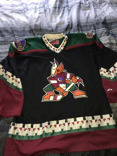 Phoenix Coyotes/ Ducks Jersey