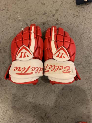 Used Warrior 15" Gloves