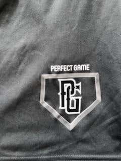Gray Perfect Game XL Shorts