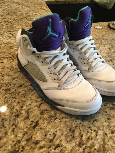 Size 9.5 Jordan 5 "Grape"