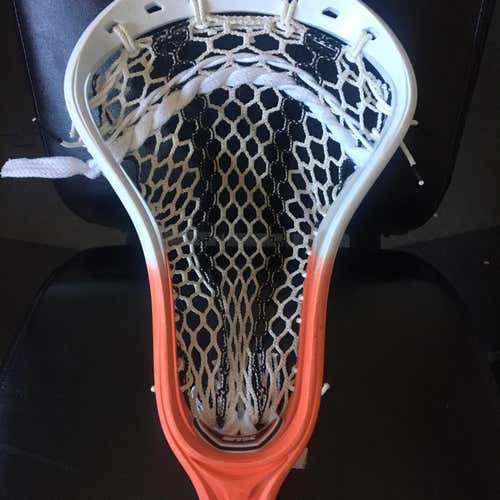 Strung STX Stallion Head