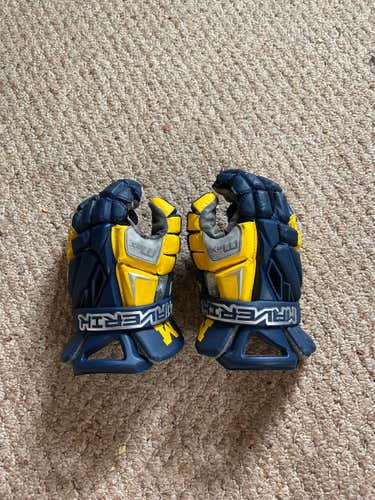 Great Condition University Of Michigan Team Issued Gloves