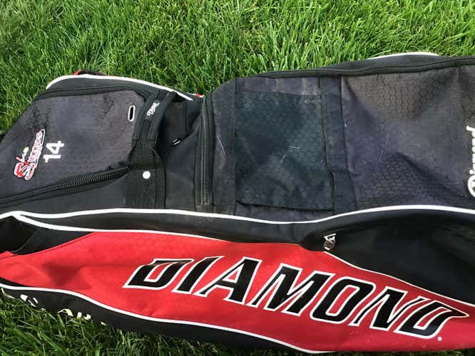 Diamond Catchers bag