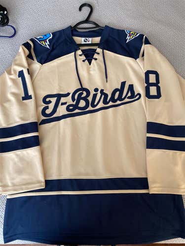 Springfield Men's Large  Jersey