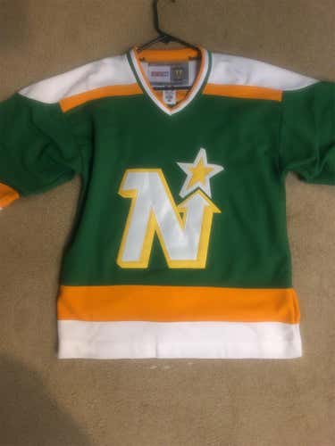 Replica Mike Modano Northstars Jersey