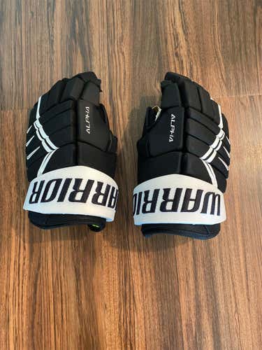 Black Used Warrior Alpha DX4 14"  Gloves