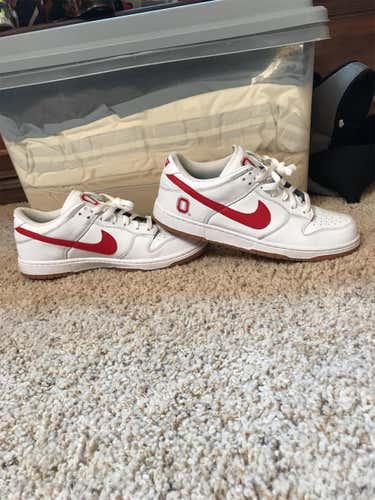 Ohio State Nike Team Shoes Size 11