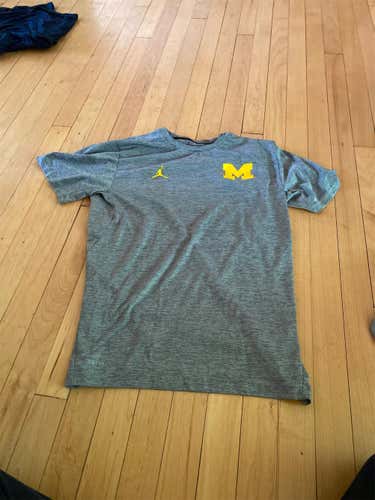 michigan Gray Unisex Medium Air Jordan Shirt