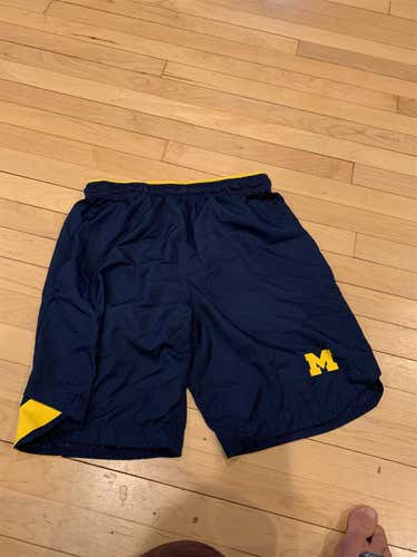Michigan Blue Men's Medium Nike Shorts