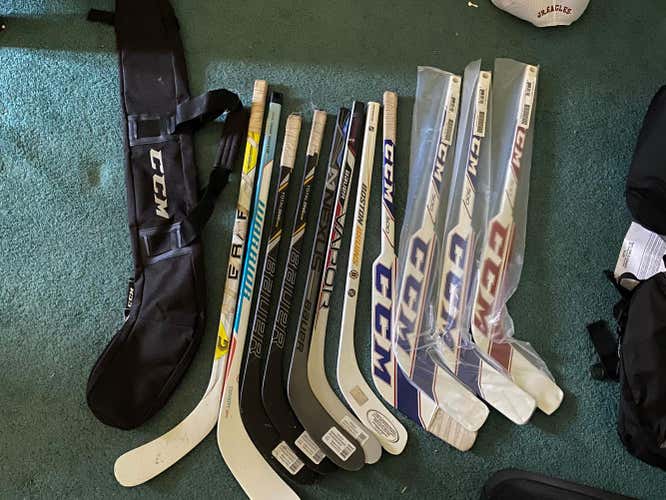 Knee hockey sticks (5$ apiece), bag, and nets