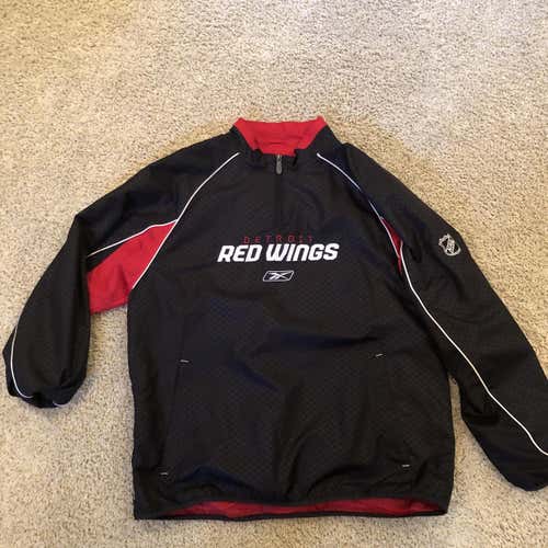 Large Detroit Red Wings Pullover