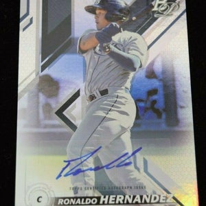 Authentic Autographed Baseball Card Ronaldo Hernandez Tampa Bay Rays