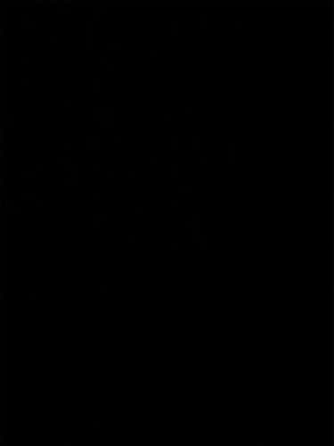 Two Bauer Xr2 Inline Skates