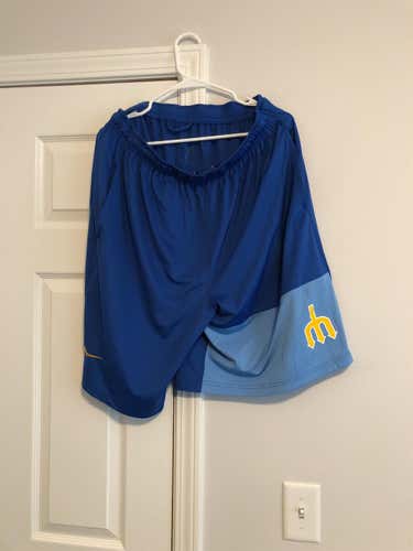 Cooperstown Shorts Blue Men's XL Nike Shorts