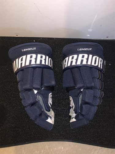 Warrior Navy Franchise Gloves 15”
