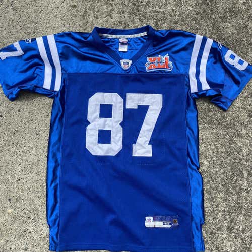 Reggie Wayne Super Bowl Jersey