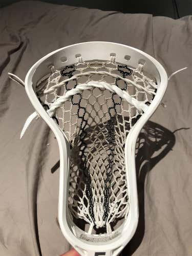 Like New Strung Hawk Prequel Head