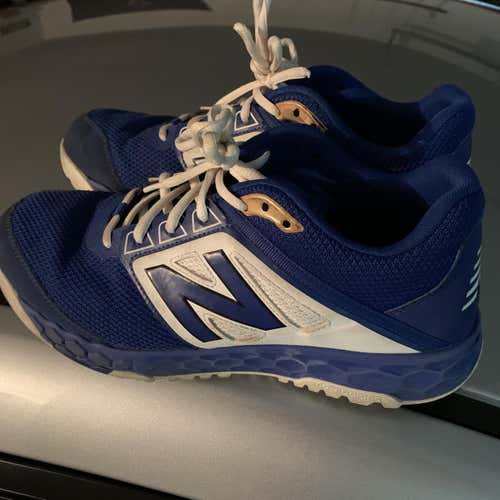 Blue Men's Men's 10.5 (W 11.5) Low Cut