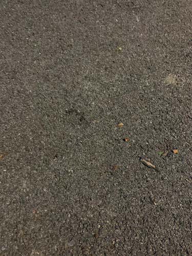 New 2020 Wood 33" Bat AP5 And Posey28