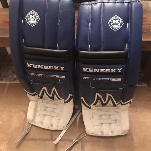 Blue Used 33" Regular Goalie Full Set