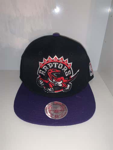 Toronto Raptors Hat