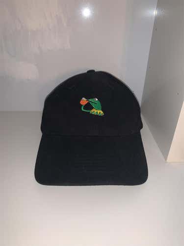 LeBron James Kermit Champion Hat
