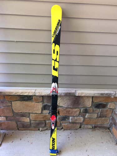 2016 Ogasaka 170cm 17m GS Skis