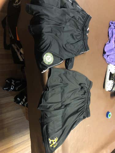 Adult Medium/Large Majestic Shorts