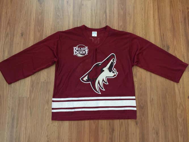 Arizona Coyotes Ed Jovanovski #55 NHL PHOENIX BOYS Sz XL Kids SGA Hockey Jersey!