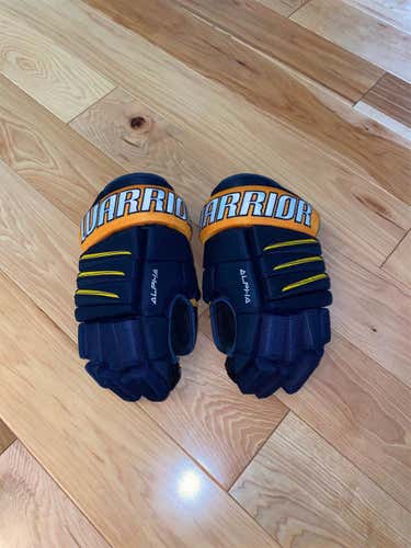 Blue Used Warrior Alpha QX3 14" Gloves