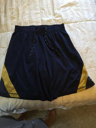 Notre Dome Team Issued Shorts - L