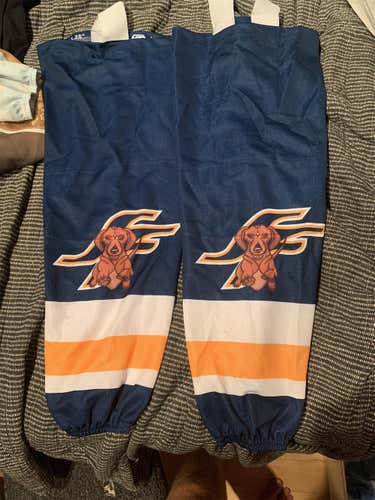 Sioux Falls Fighting Weiner Dogs Socks