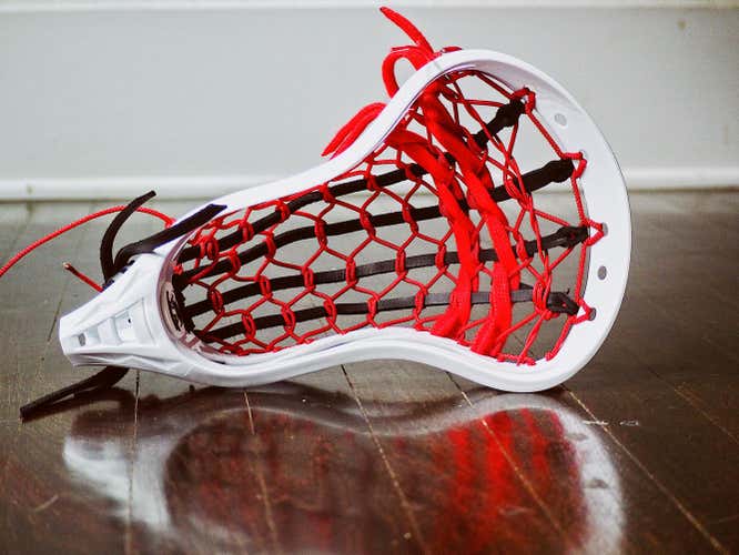 Strung Turtle Dome Head