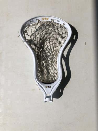 Strung Stallion 700 Head