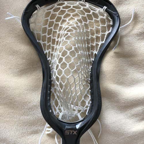 New Strung Stallion Omega Head