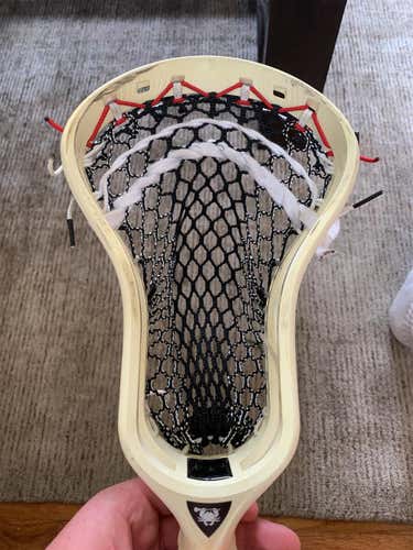 ECD DNA With Black Hero 2.0