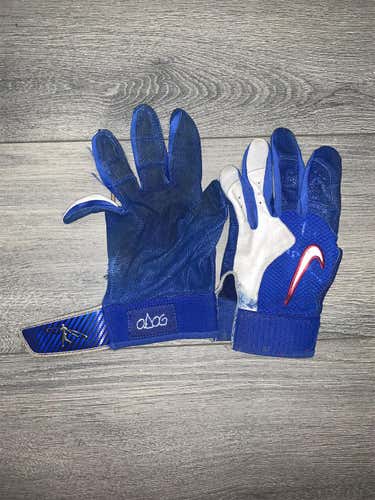 Blue & White ( ODog )Griffey Used XL Nike Batting Gloves