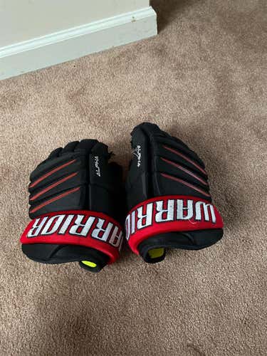 Used Warrior Alpha QX3 13" Gloves