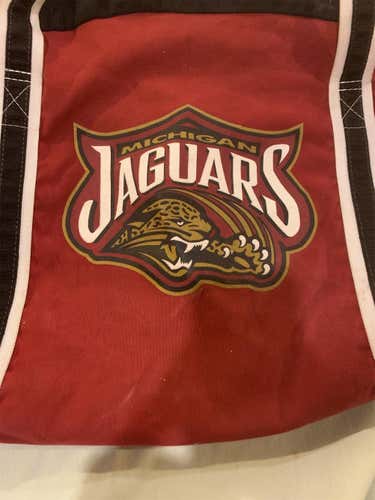 Canvas Michigan Jaguars Used Player Bag