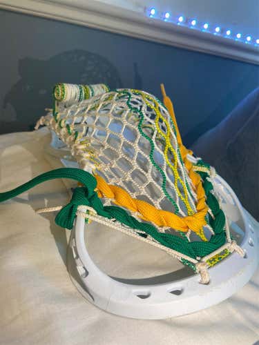 PLL REDWOODS Themed Powell pioneer