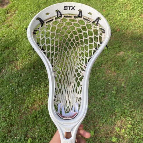 Strung STX Stallion