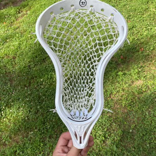 Strung Warrior Burn Head