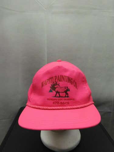 Vintage Wapiti Painting Co. Snapback Hat Pink